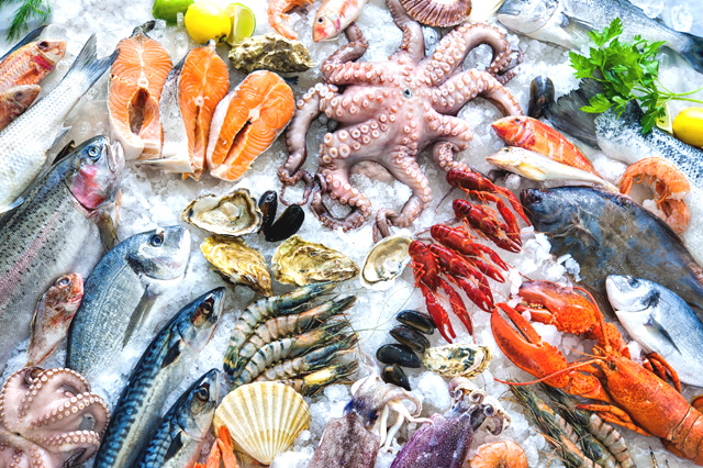 Fish Skin Specialists | Sea Food | Frozen Fish | Pangasius Fish Skin ...